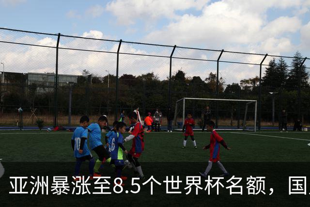 亚洲暴涨至8.5个世界杯名额，国足依旧出局，残酷真相没人敢说